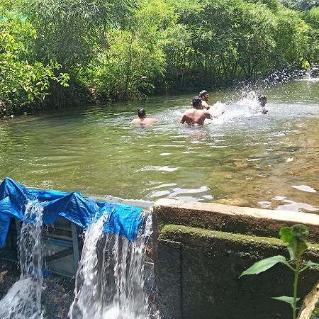 Tharayil Farm Stay Vagamon Extérieur photo