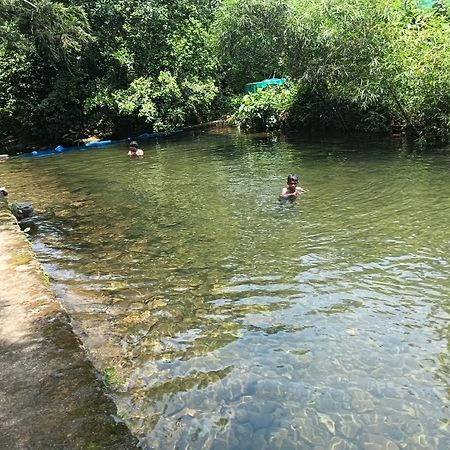 Tharayil Farm Stay Vagamon Extérieur photo