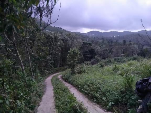 Tharayil Farm Stay Vagamon Extérieur photo
