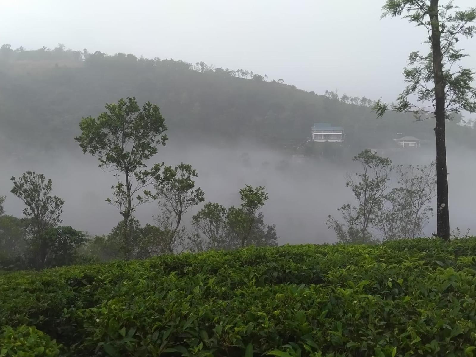 Tharayil Farm Stay Vagamon Extérieur photo