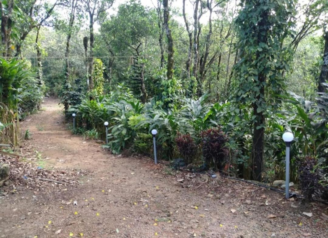 Tharayil Farm Stay Vagamon Extérieur photo
