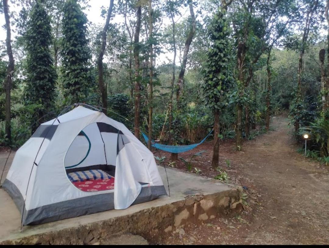 Tharayil Farm Stay Vagamon Extérieur photo