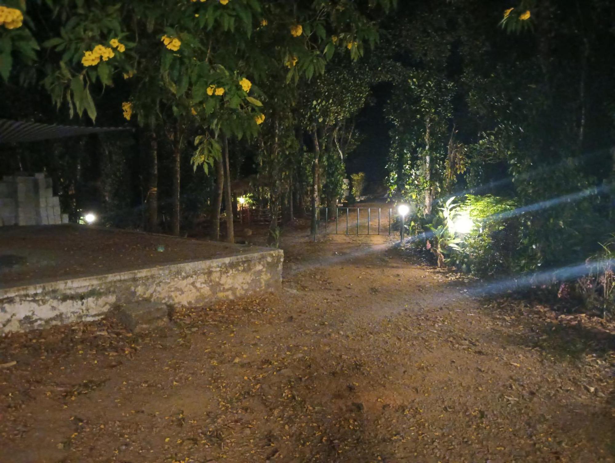 Tharayil Farm Stay Vagamon Extérieur photo