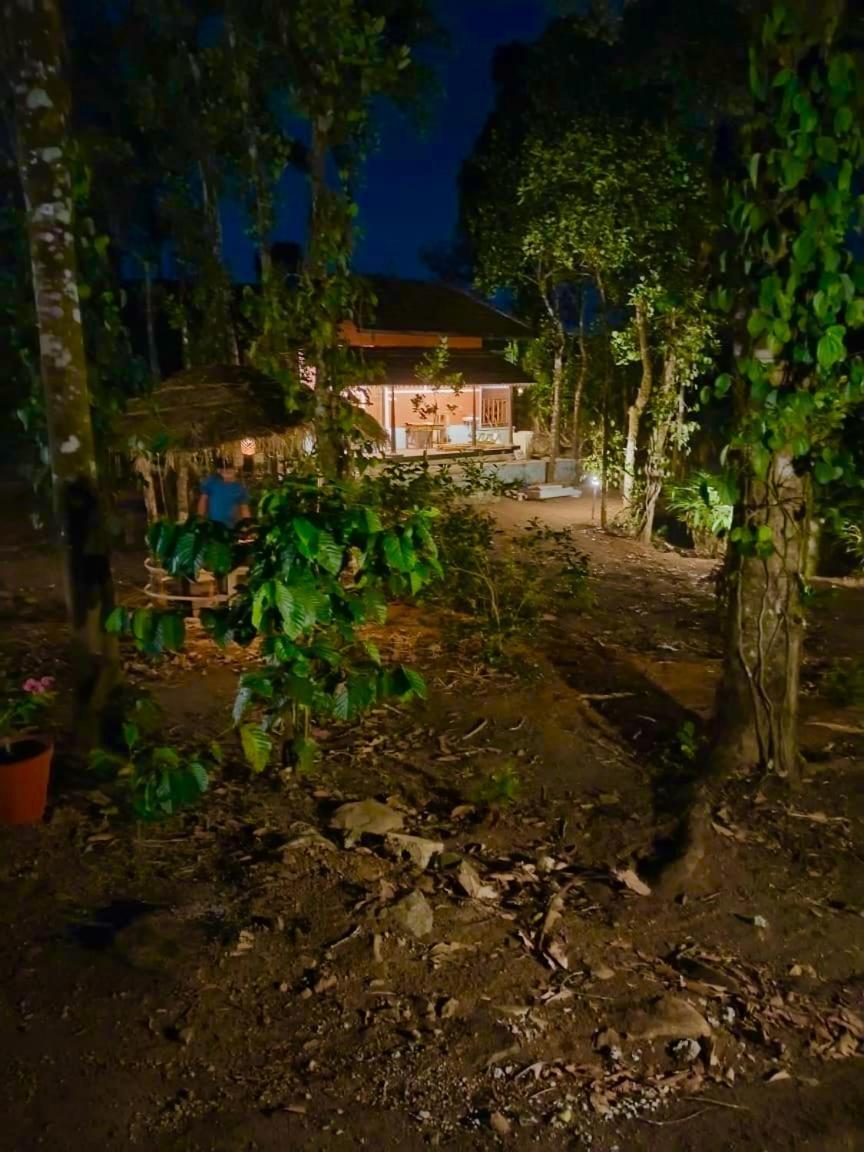 Tharayil Farm Stay Vagamon Extérieur photo