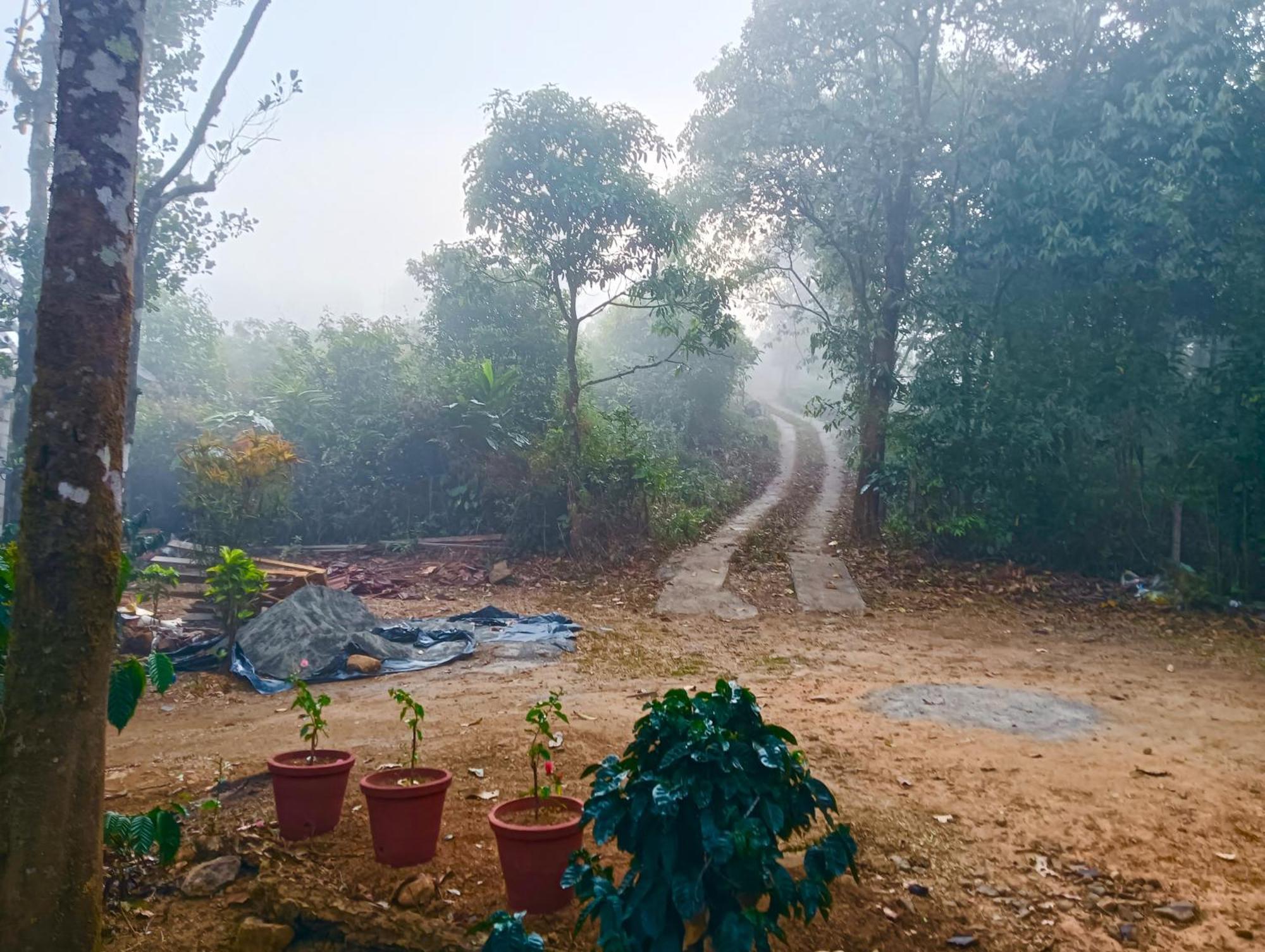 Tharayil Farm Stay Vagamon Extérieur photo