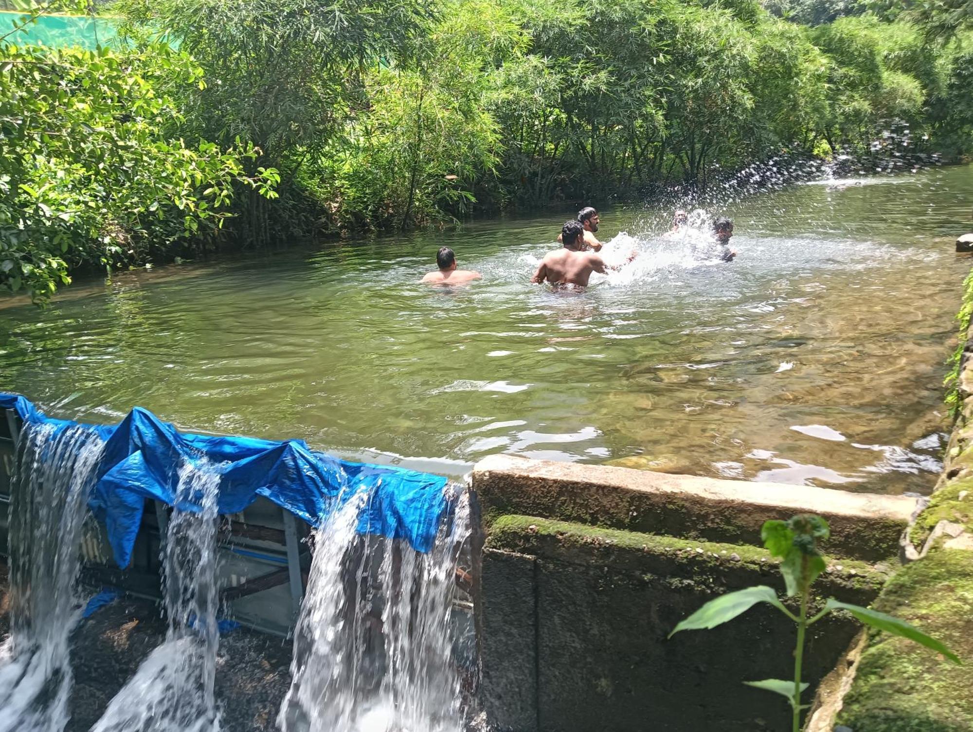 Tharayil Farm Stay Vagamon Extérieur photo