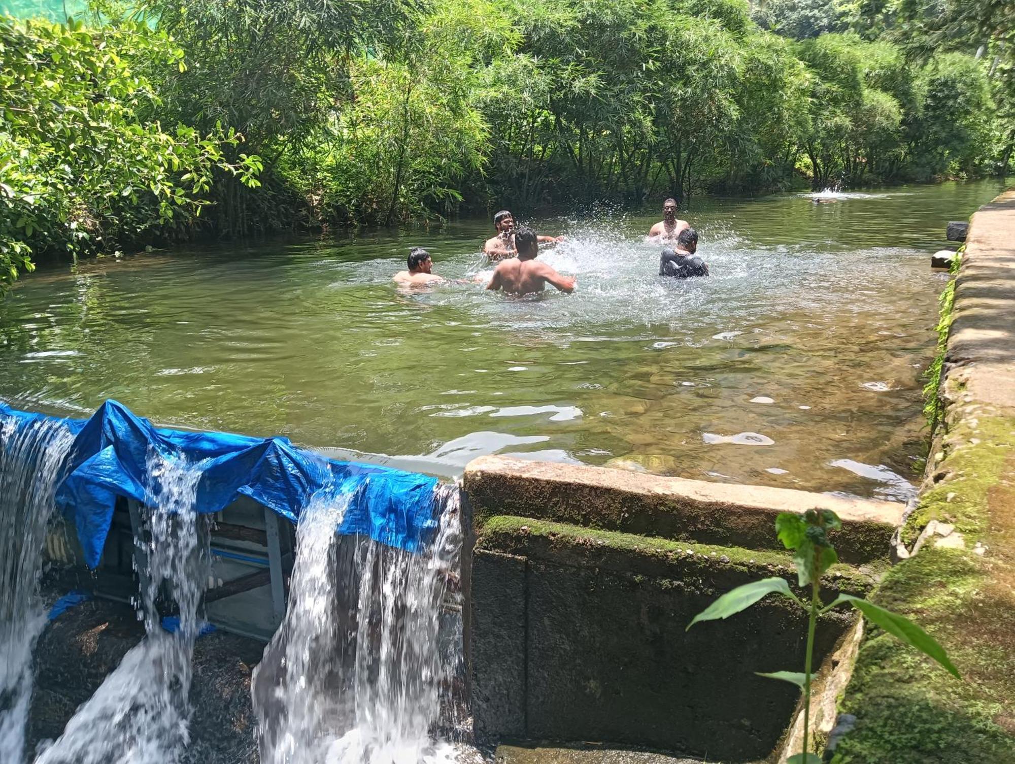 Tharayil Farm Stay Vagamon Extérieur photo